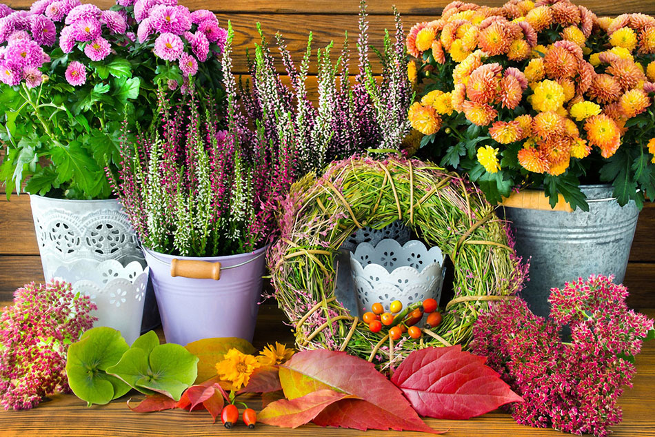 Herbstbeplanzung