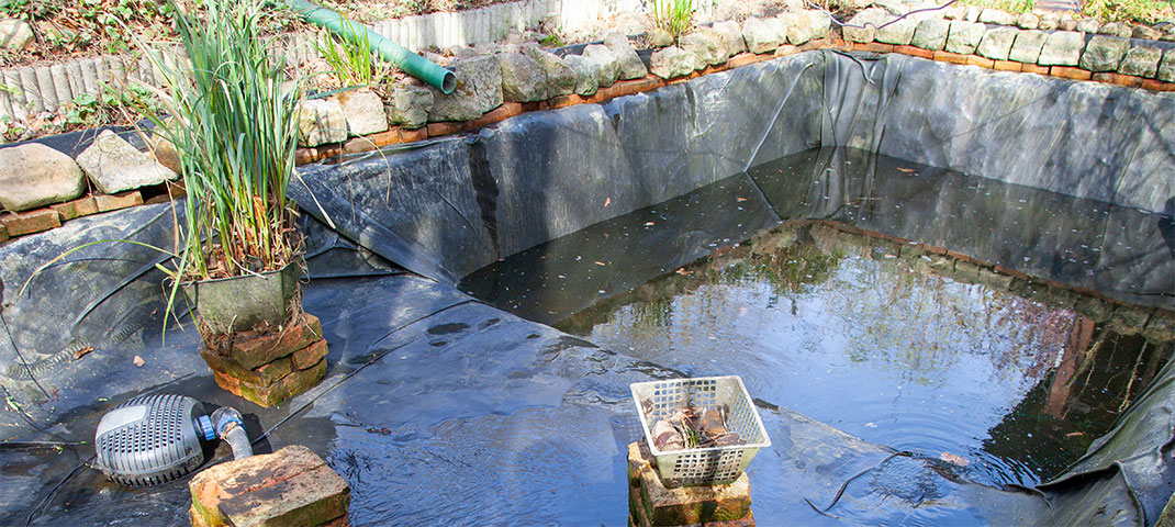 Gartenteich Herbstreinigung